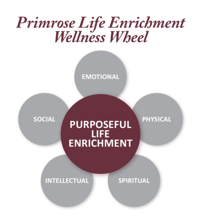 Graphic icon of Primrose's six dimensions of wellness wheel.