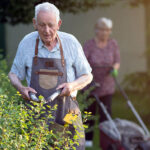 Senior man working in garden, trimming hedge with scissors while woman mowing lawn in background