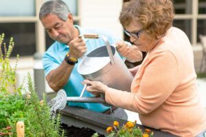 Senior couple outdoors watering the garden