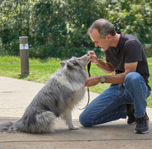 Senior man walking his dog outside